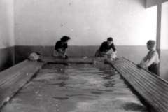 Años 60 (V). Mujeres lavando en el lavadero de las Magraneras. Rosa Villalba. Cedida Por Carmina Peiró